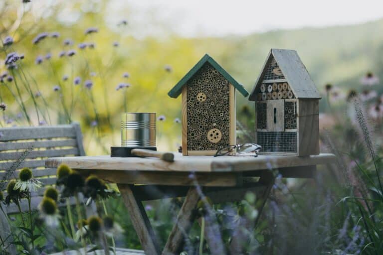 biodiversité,jardin