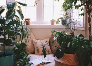 Coin cosy pour lecture