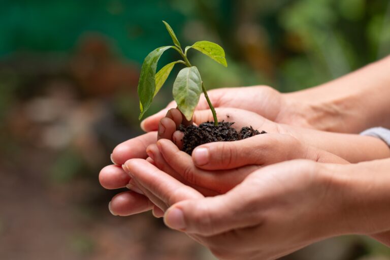écologie,gestes écologiques