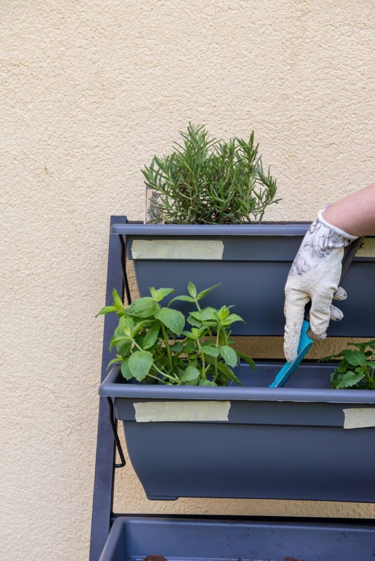 jardin vertical chez soi
