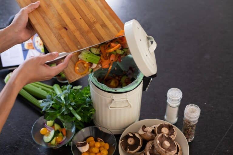 compostage domestique 2025
